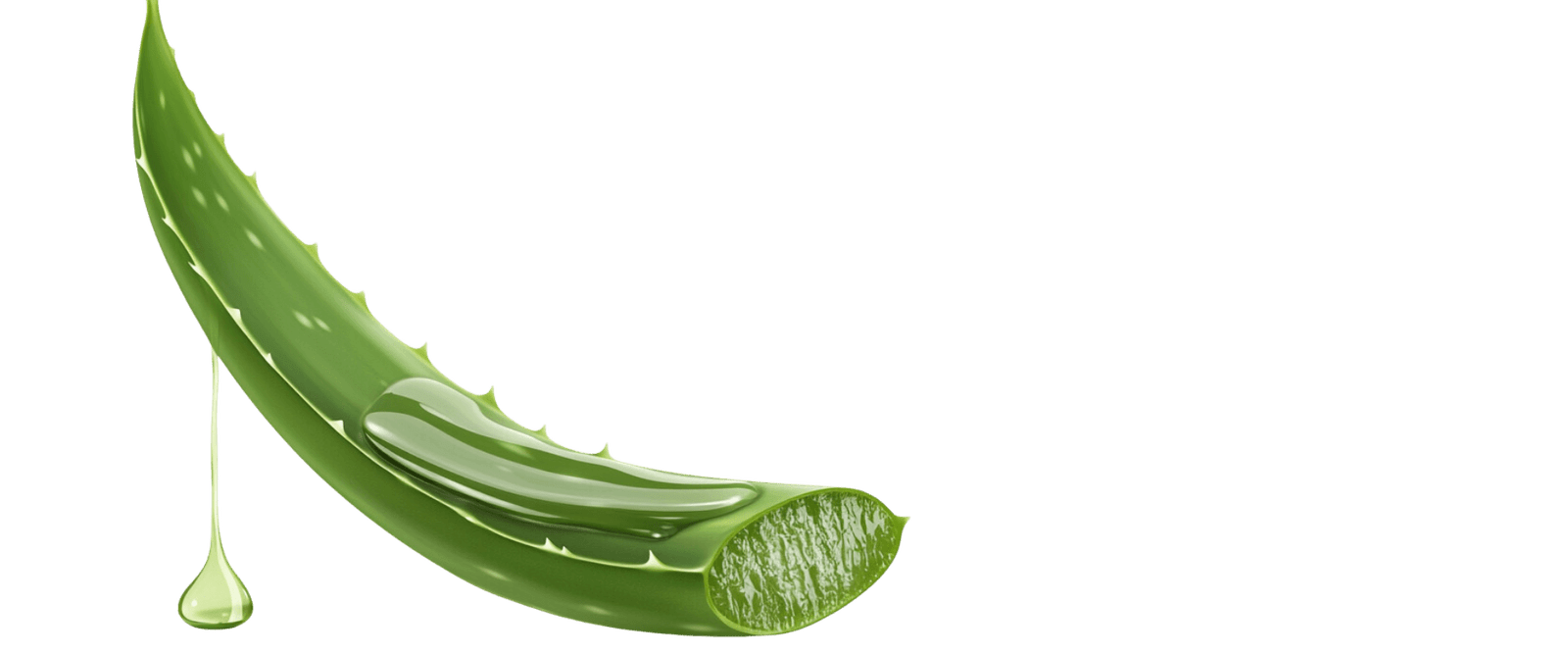 sainaloe.com - Nettoyant visage Aloe Vera, hydratation et nettoyage en profondeur, soin naturel