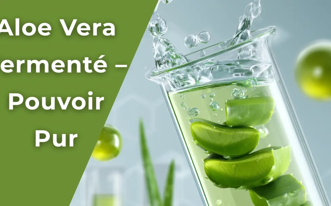 Aloe vera fermenté – Pouvoir pur en gel concentré.
